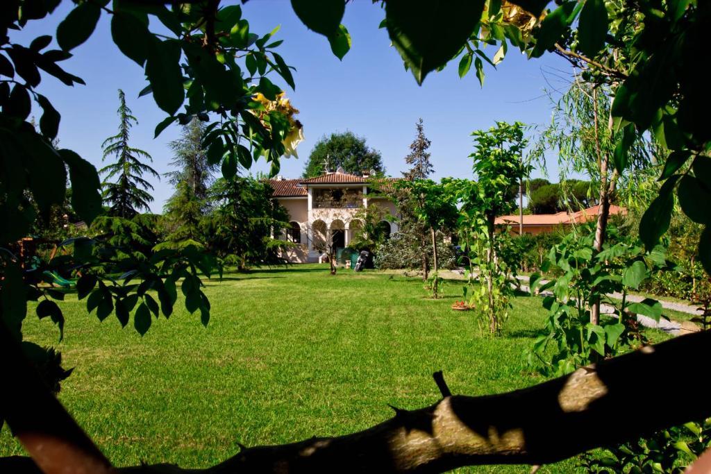 La Coralia B&B マッサ エクステリア 写真